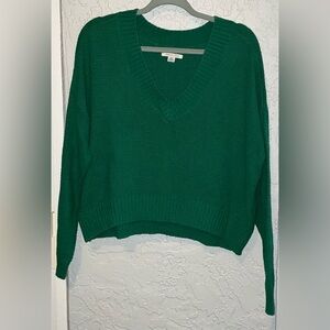 American Eagle Outfitters Green V-Neck Sweater